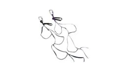 Black Diamond Etrier