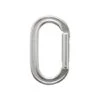 Black Diamond Oval Carabiner