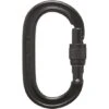 Black Diamond Oval Screwgate Carabiner