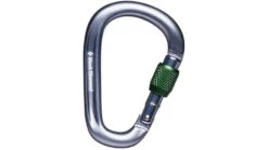 Black Diamond Pearlock Screwgate Carabiner