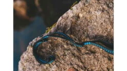 Crua Outdoors Tree Straps -Outdoor Sports Store opplanet crua outdoors tree straps black blue ts 01 av 4