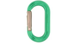 DMM PerfectO Straight Gate 9 DMM PerfectO Straight Gate -Outdoor Sports Store opplanet dmm perfecto straight gate green titanium one size a591gr main