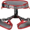 DMM Tomcat Harnesses - Kids