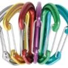 Edelrid Nineteen G Carabiner - 6 Pack 2 Edelrid Nineteen G Carabiner - 6 Pack -Outdoor Sports Store opplanet edelrid nineteen g carabiner 6 pack main