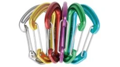 Edelrid Nineteen G Carabiner - 6 Pack