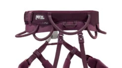 Petzl LUNA Womens Harness -Outdoor Sports Store opplanet petzl luna womens harness violet large c035ba03 av 4