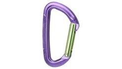 Wild Country Climbing Session Straight Gate Carabiners